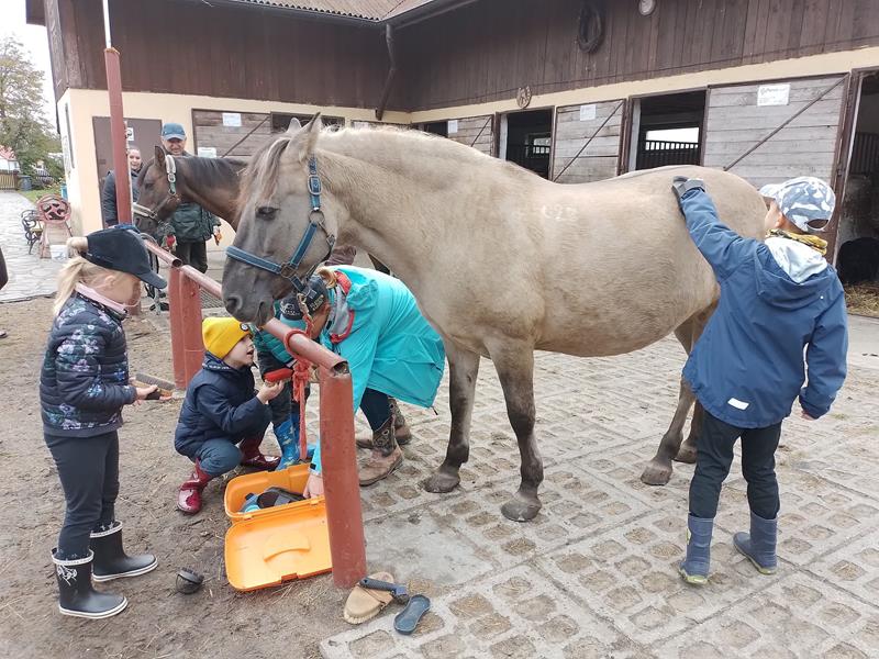 Horse Assisted Education